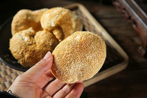 Pom Pom Blanc richtig lagern