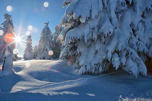 CHEFS CULINAR Winterlandschaft