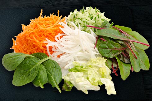 CHEFS CULINAR Salat und Rohkost
