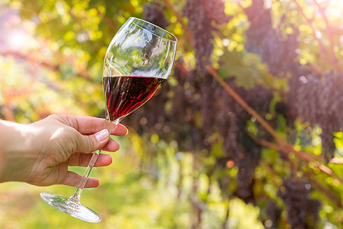 Alkoholfreie Weine Erklärung