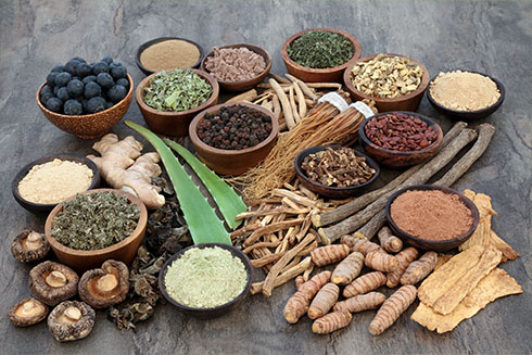 CHEFS CULINAR Adoptogene