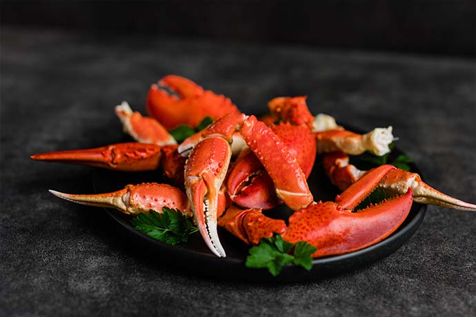 CHEFS CULINAR Hummer