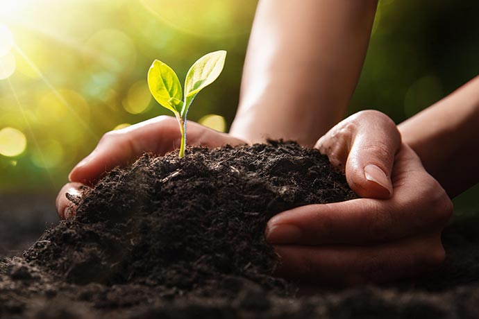 Wie nachhaltig ist vegane Ern&auml;hrung?