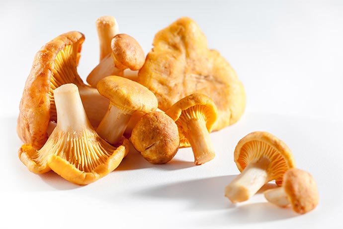 Pfifferling Warenkunde