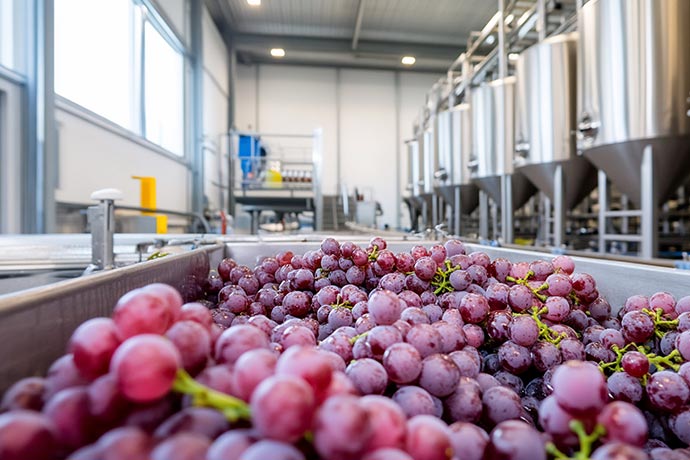 Moderne Maschinen beim Weinanbau