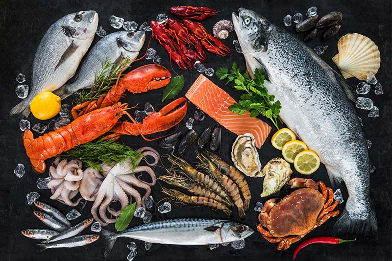 CHEFS CULINAR bietet Ihnen eine breite Vielfalt und Expertenberatung rund um das Thema Fisch