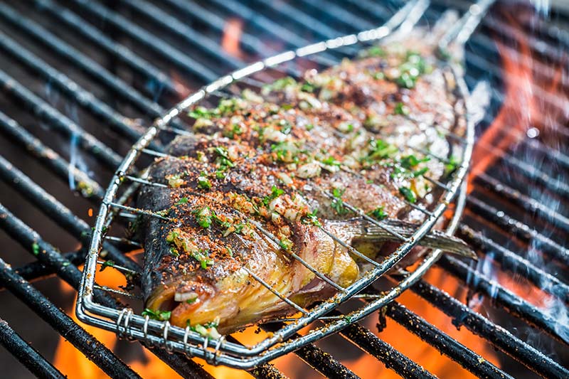 MIt den Tipps von CHEFS CULINAR lernen Arzubis, wie sie Fisch richtig grillen