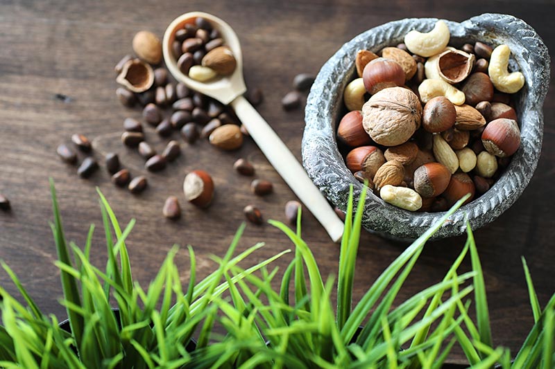 Das sollten Sie über die Nussallergie wissen