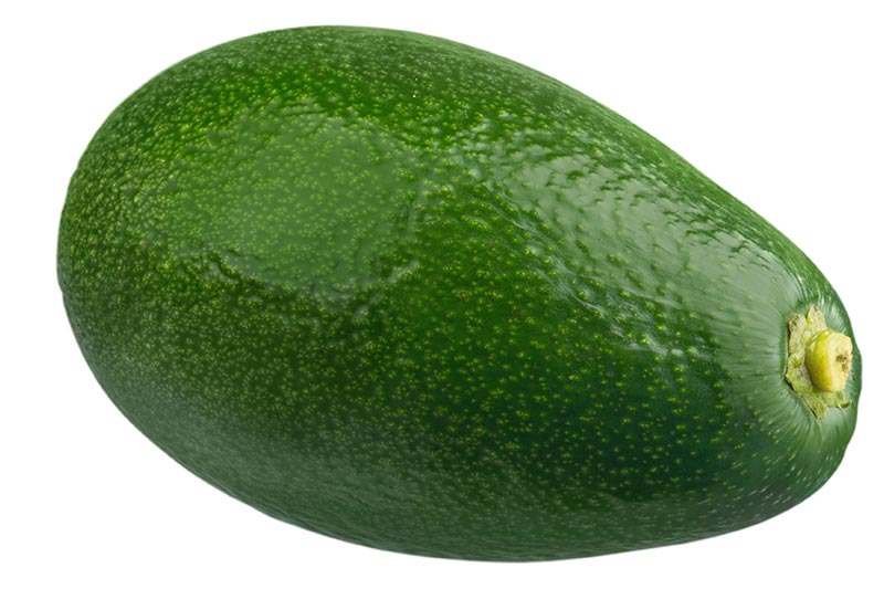 Avozilla werden riesige Avocados genannt, die ein australischer Farmer vor Kurzem gezüchtet hat