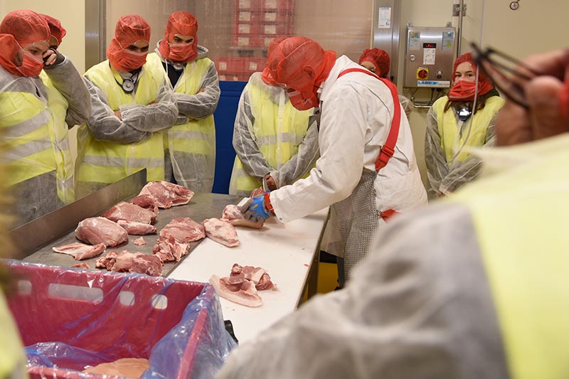 Interessiert beobachten Azubis den Experten bei der Fleisch-Zerlegung beim CHEFS CULINAR Azubi-Tag 2019