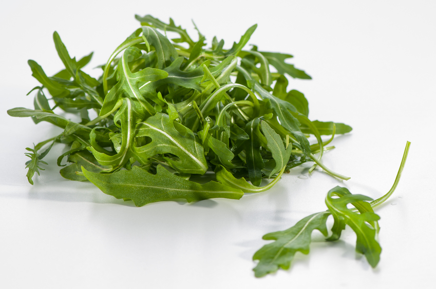 Rucola
