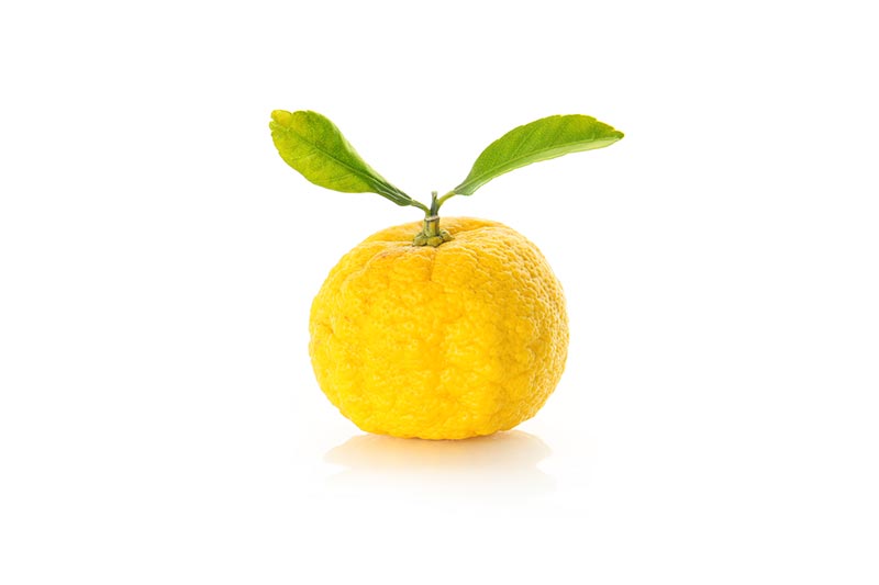 Yuzu