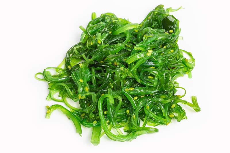CHEFS CULINAR Wakame