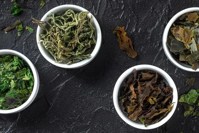 Trendzutat mit Mehrwert: Algen