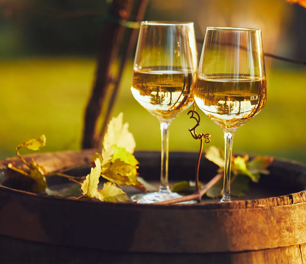 Alkoholfreie Weine verstehen