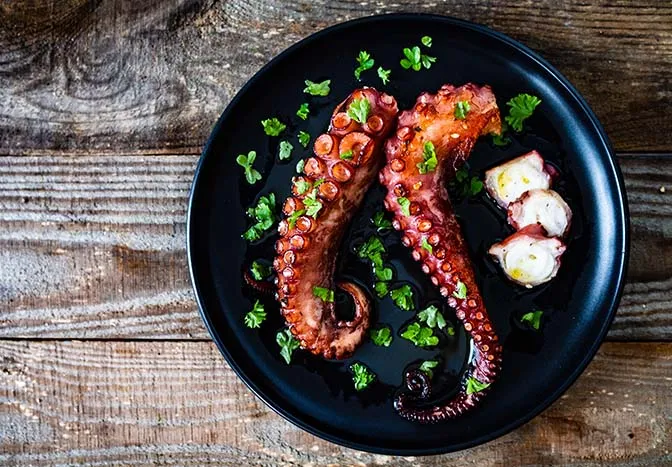 Oktopus