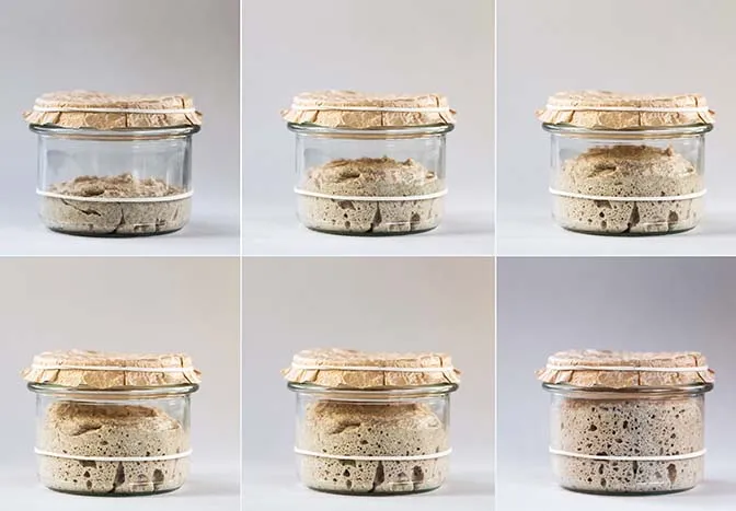 Trend: Sauerteigbrot