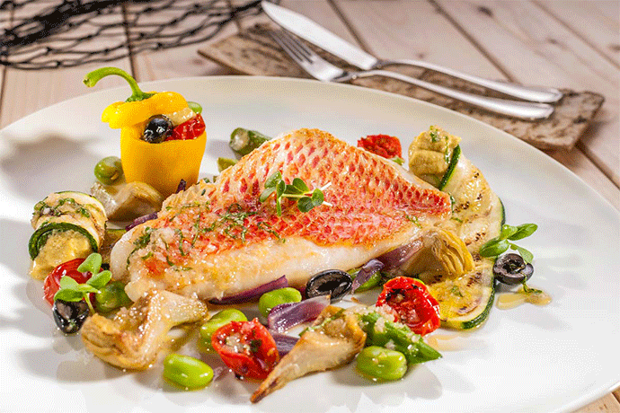Red Snapper Filet Red Snapper Filet