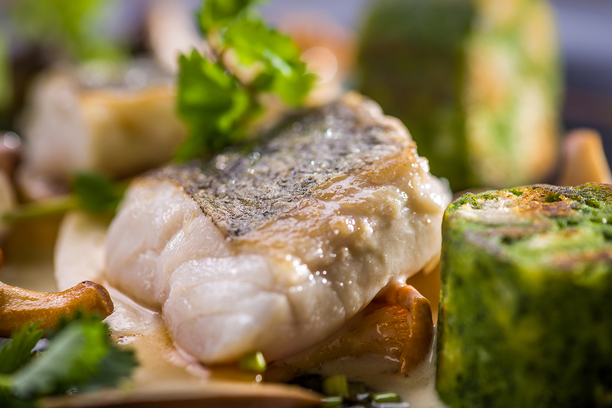 Gebratenes Seehechtfilet auf cremigen Waldpilzen und Petersilienknödel ...