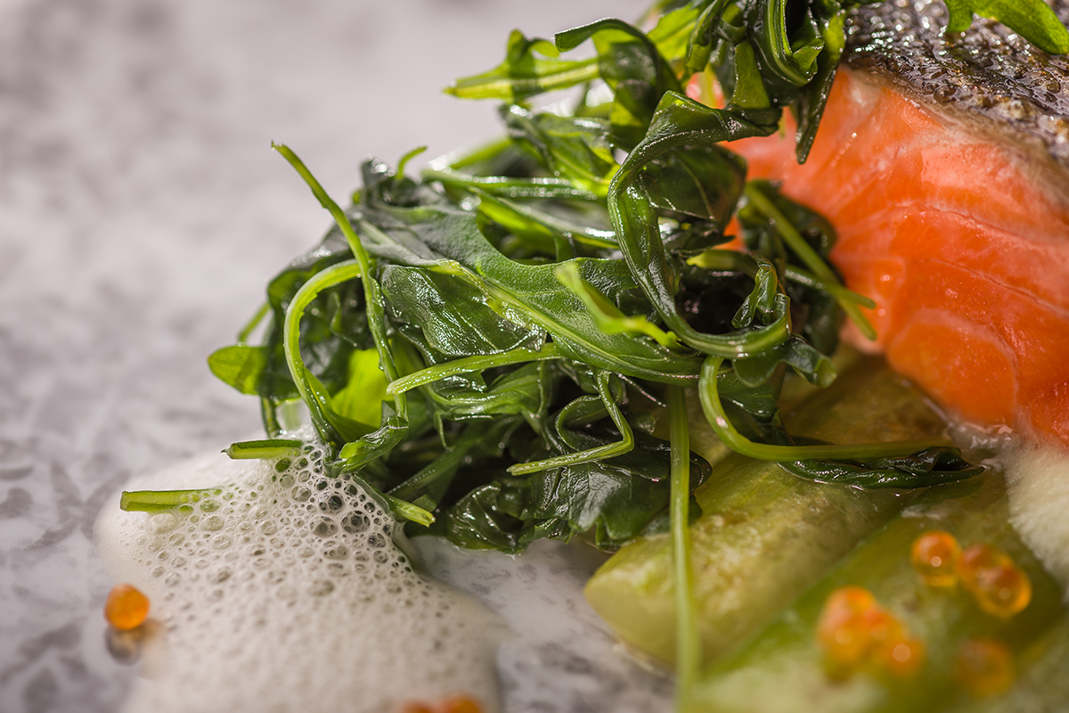 Gebratene Fjord Forelle auf cremigen Kartoffelschaum, Schmorgurken und