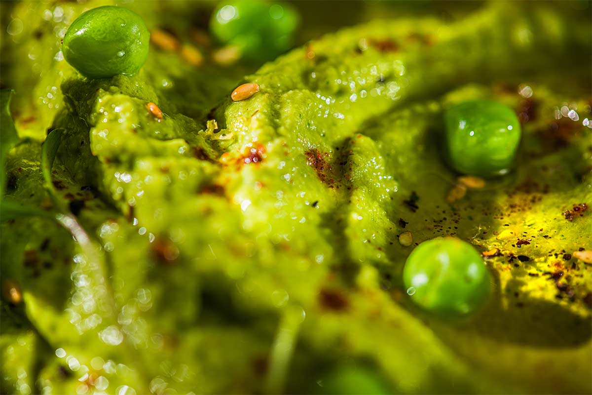 ErbsenHummus mit Koriander Rezept