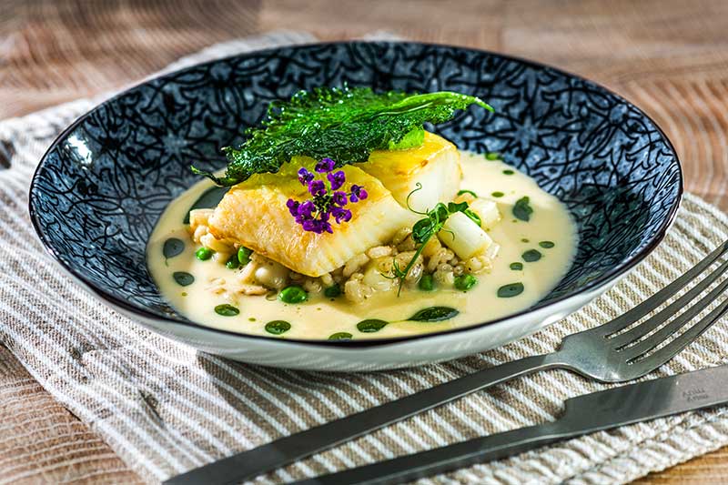 Schwarzer Heilbutt | Gerste | Spargel