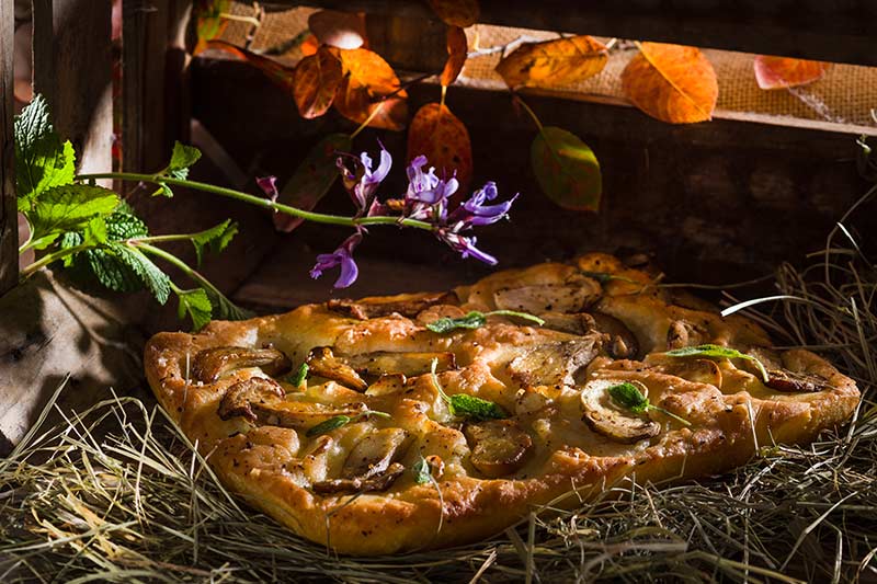 Steinpilz-Foccacia