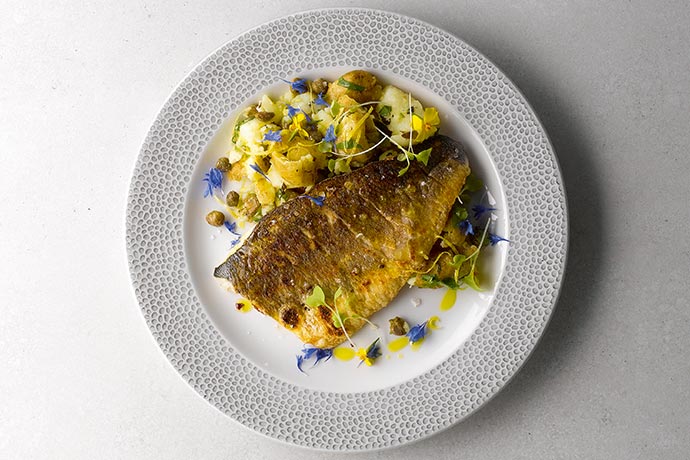 Churchill, Serie Isla, Teller flach Fahne grau 21 cm